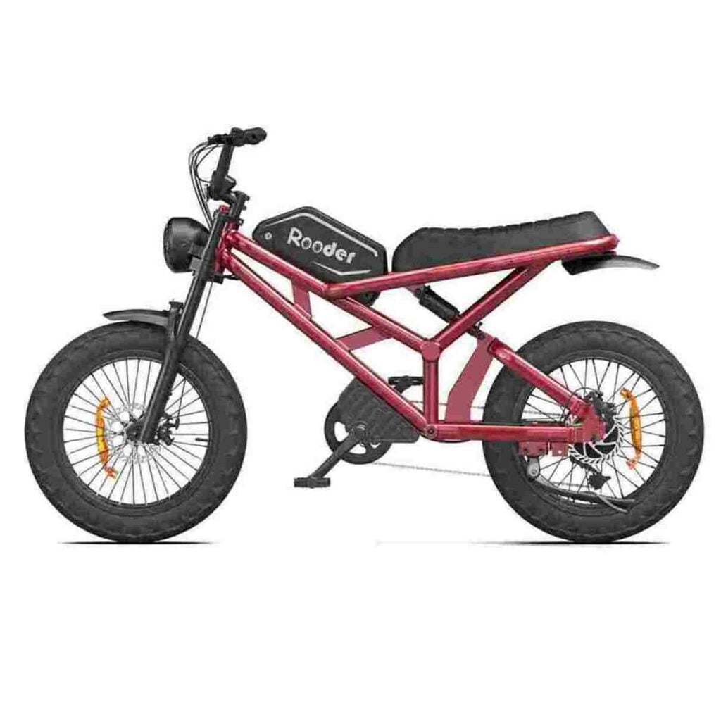 Bicicleta eléctrica de dos ruedas con neumáticos anchos Rooder Columbia